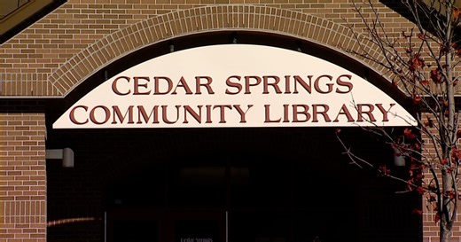Friends of the Library Craft Show returns to Cedar Springs on November 8
