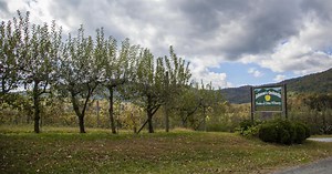 Farms & Orchards in Virginia's Blue Ridge