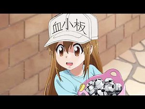 テレビアニメ「はたらく細胞」キャストオーディオコメンタリー試聴映像（第2話「すり傷」赤血球役・花澤香菜×血小板役・長縄まりあ）