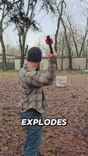 Atlatl: The Stick That Made Humans Apex Predators