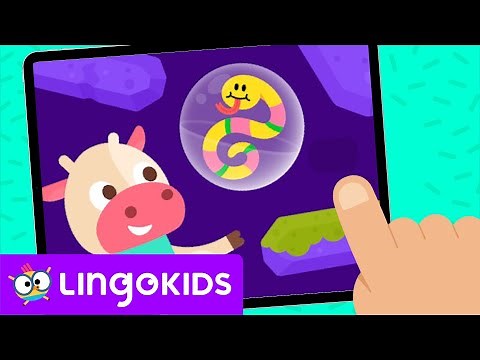 CHASING REPTILES 🐊🦎 Games for Kids 🕹️ | Lingokids Activities