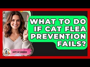 What To Do If Cat Flea Prevention Fails? - Happy Cat Handbook