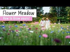 How I grow a flower meadow - "how to" from start to finish