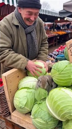 Spoted this unexpected seller😍🐰🐰 #cute #rabbit #cutebunny #bunny #shorts #viralanimals #fyp