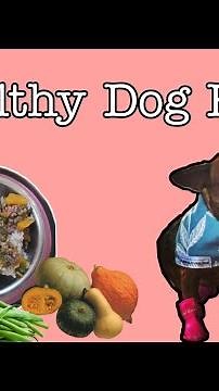 BUDGET-FRIENDLY DOG FOOD ||HEALTHY DOG FOOD || HOMEMADE RECIPE