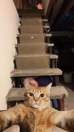 Had to multitask on this challenge | William N. Horodeski