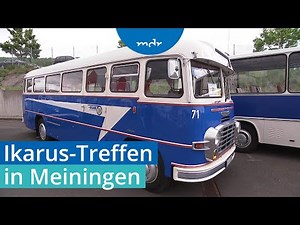 Oldtimer-Treffen: Legendäre Ikarus-Busse in Meiningen | MDR THÜRINGEN JOURNAL | MDR