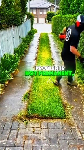 How to Face Life's Problems? | The Story of Life