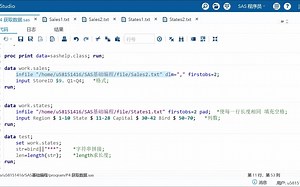 【SAS基础编程】P4-2 获取数据 (过程步)