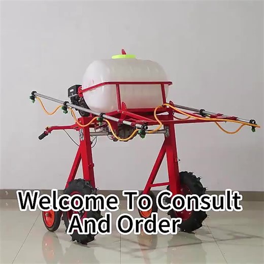 Self-Propelled Four-Wheel Small Boom Sprayer Walk- Behind Gasoline Agricultural Sprayer New & Used Condition for Farm Use