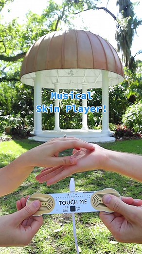 Musical Skin Player Gadgets on My Website