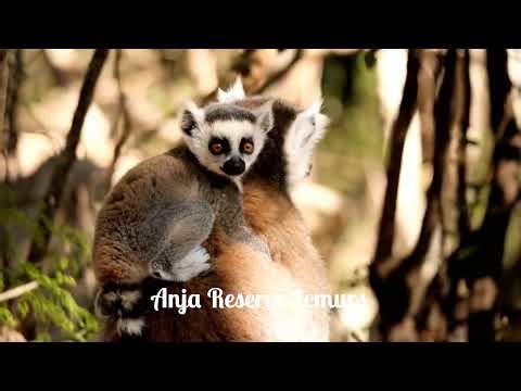 Madagascar Unforgettable Destinations- Travel video and guide
