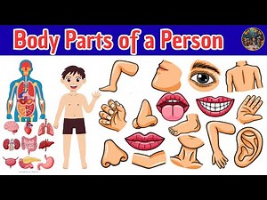 50 Amazing Body Parts of a Person | My Body Parts | Fun and Easy Learning for Kids