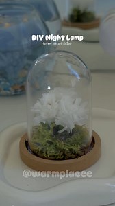 151K views · 3.2K reactions | DIY Night Light ✨ #diy #crafts #handmade #nightlights #easydiy | Warmplacee | Facebook