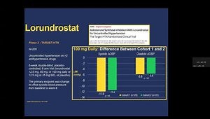 The Potential Role of Aldosterone Synthase Inhibition to More Effectively Treat Hypertension