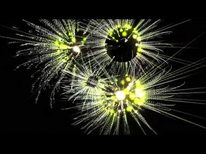 Yamaha PSR S950 - Styles Demo - HQ Audio & Video