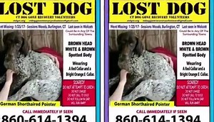 6.4K views · 17 reactions | Wonderful morning news Sadie is safe....