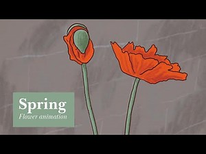 Spring / Blooming flowers animation