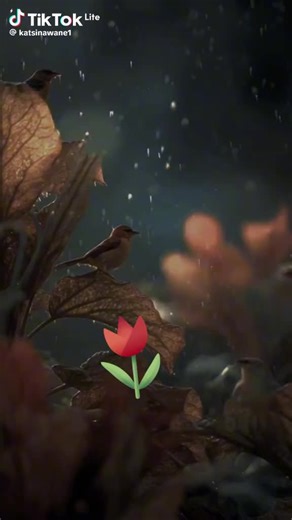 romiyo (@romiyo0921)’s videos with original sound - romiyo