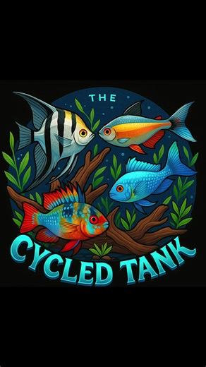 Added one of our juvenile Angelfish fry into the 125 and it’s loving it. Staring at my tanks is my favorite past time #Aquascaping #PlantedTank #thecycledtank #FishRoom #FishTok