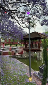 Kamal Pokhari: Morning Calm & Jacaranda Blooms