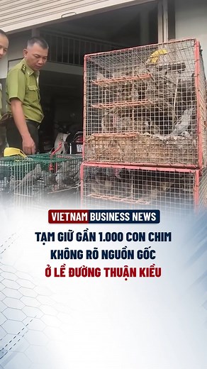 788K views · 5.5K reactions | Vietnam Business News on Reels | Facebook