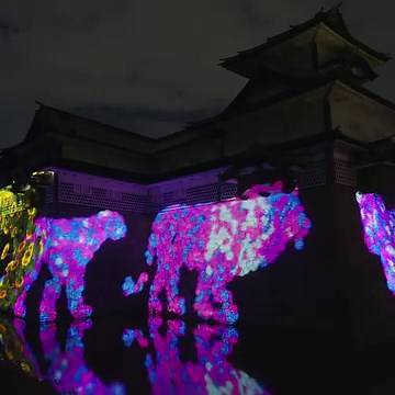 On view at “teamLab: Digitized Kanazawa Castle” Kanazawa Castle Park, Kanazawa, Ishikawa Until Nov 26 https://www.teamlab.art/e/kanazawacastle/ ・ “Animals of Flowers, Symbiotic Lives in the Stone Wall - Kanazawa Castle” The animals are formed from the stone walls and the flowers that bloom and die in a continuous cycle. Seasonal flowers bloom while slowly changing. If too many petals scatter, the animals will die and fade away. ・ 「チームラボ 金沢城 光の祭」 金沢城公園, 金沢, 石川 11.26(日)まで https://www.teamlab.art/j