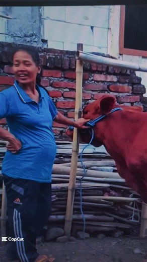 Buffalo Meeting Highlights: Expert Breeding Insights