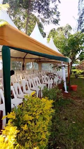 Green & Gold. Pre-wedding. | Khulemia Ltd.