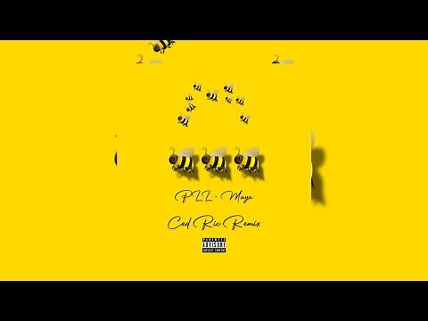 Pll Ft Ced Ric - Maya ( Remix 2023 )