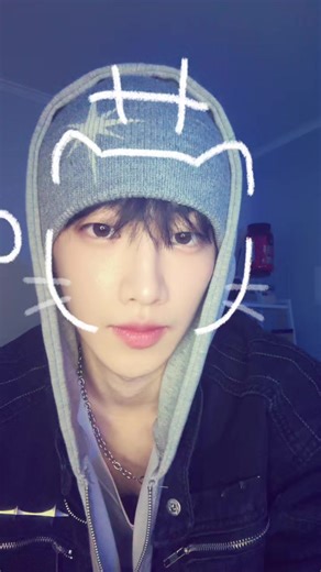 Adorable Cat Compilation Featuring K-pop Vibes