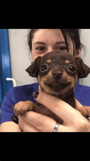 Happy dawg 🥺🫶🏻 | Kim Joshua