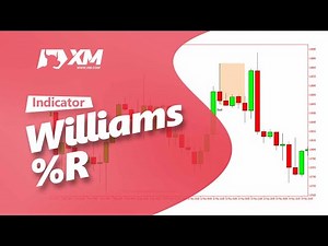 How to Use Williams' Percent Range Indicator (Williams' %R) in FOREX trading