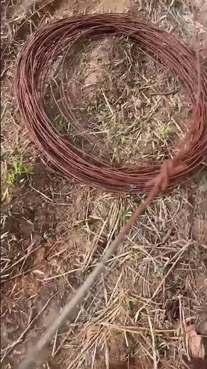 Old farmer wire joining knot #homestead #fencing #farming #australia #wire #knots #womenfarmers