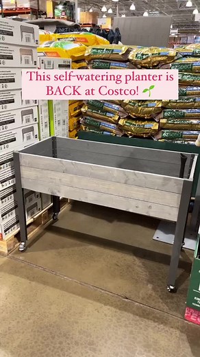 Costco Self-Watering Planter Back in Stock - Limited Time Offer