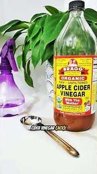 Natural Dandruff Cure! 3 Home Remedies That ACTUALLY Work! 🌿