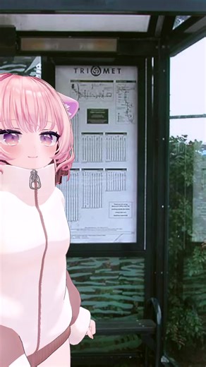 Say hello to the seagull | seagull