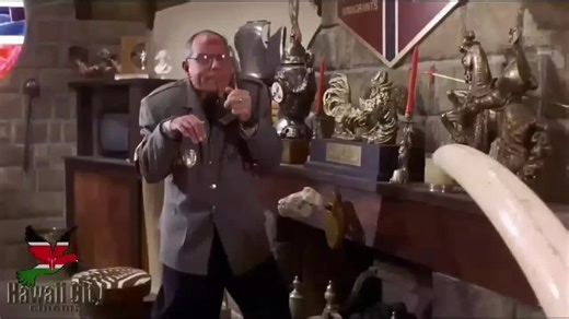 Beekeeping Adventures with Transformers and Fast Cars