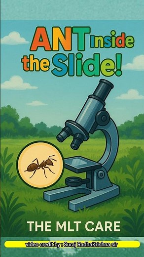 Ant Inside the Slide! | Microscopic View Explained | THE MLT CARE #shorts #mlt #lablife