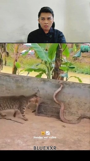 689K views · 44K reactions | Omg  | TheGamma | Facebook