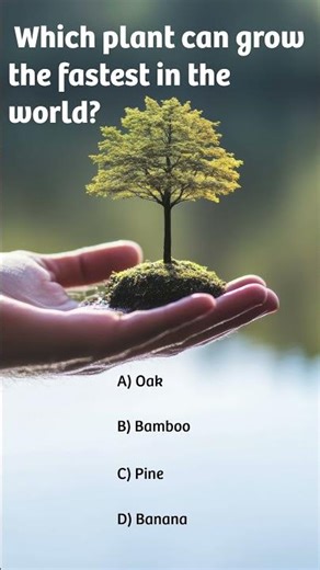 Which Plant Can Grow Almost 1 Meter in a Day? 🤯