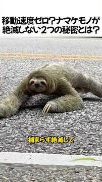 移動速度ゼロ？ナマケモノが絶滅しない2つの秘密とは？#ナマケモノ#動物#雑学#野生動物#海外の反応#生存戦略