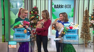 This holiday, don’t forget to spoil your pup too! BarkBox is a gift that keeps giving, delivering doggie joy year-round! Now through December 21 subscribe to BarkBox for a 6 or 12 month subscription and get their first BarkBox for just $5 if you go to BarkBox.com/Access #SponsoredbyBarkBox | Access