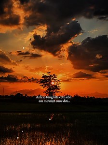 Ngày đó mình nghèo quá đâu dám hứa xa xôi... [ Pháo Hoa Lệ Rơi ] #phaohoaleroi #nhacbuontamtrang #tramcamxuc💔 #maucapcut #nhacbuon7891