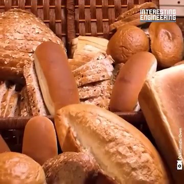 This is how various kinds of bread are made in modern factories. | Interesting Engineering