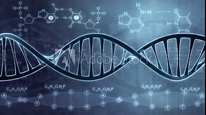 DNA double helix. 3D animation of a DNA spiral formed from nucleotide molecules. Perfect to use as a background for science, biotechnology or genetics. Human DNA. 3D rendering. Seamless loop. 4K