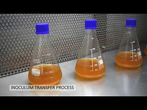 In-House Probiotic API Manufacturing