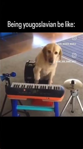 #meme #humor #Yugoslavia #makeuptransition humor will be randomly generated-Larry the Cucumber