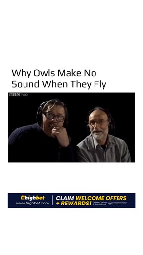 World in Motion 🕹️ on Instagram: "Why can owls fly in complete silence? This experiment reveals the answer. An owl can descend on its prey without a sound because its wings are built to disrupt the air turbulence that normally creates noise. In a BBC experiment comparing the flight of a pigeon, a falcon, and a Barn Owl, the difference is striking. Owls rely on three key adaptations: • Leading edge serrations on the primary feathers that break up airflow. • A velvety wing surface that reduces fr