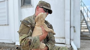 Florida-based dog rescue group heads to Europe to save pets displaced in the Ukraine war
